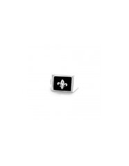 Rebel&Rose Роскошное серебряное кольцо Square Scout Lowneck RR-RG032-S цена и информация | Мужские украшения | pigu.lt