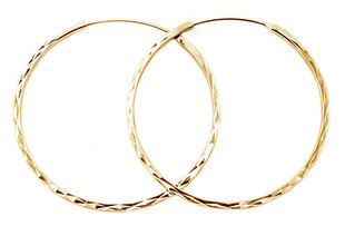 Модные позолоченные круглые серьги из серебра Beneto AGUC2439 / SCS-GOLD цена и информация | Серьги | pigu.lt