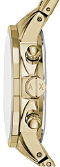 Armani Exchange Bankai AX4327 kaina ir informacija | Moteriški laikrodžiai | pigu.lt