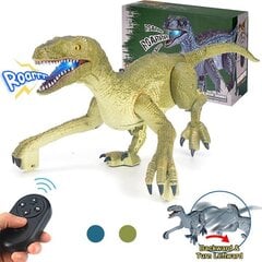Dinozauras Velociraptor su valdymo pultu, garso ir šviesos efektais kaina ir informacija | Žaislai berniukams | pigu.lt