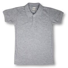 Polo marškinėliai trumpomis rankovėmis kaina ir informacija | Nenurodyta Drabužiai berniukams | pigu.lt