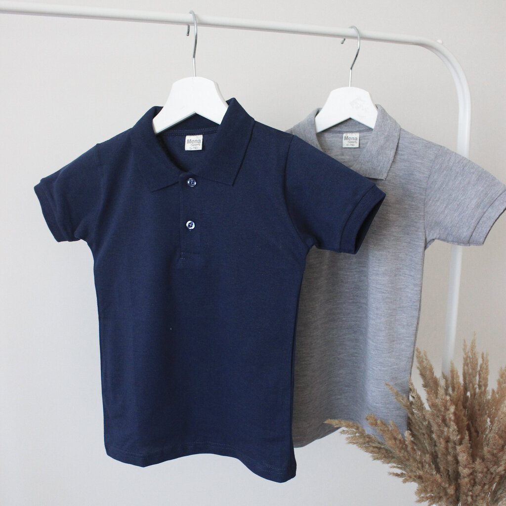 Polo marškinėliai trumpomis rankovėmis kaina ir informacija | Marškinėliai berniukams | pigu.lt