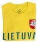 Vyriški sirgalių marškinėliai su lietuviška atributika, geltoni цена и информация | Lietuviška sirgalių atributika | pigu.lt