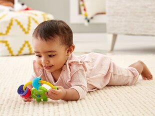 Barškutis Fisher-Price kaina ir informacija | Žaislai kūdikiams | pigu.lt