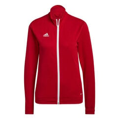 Женский свитер Adidas Entrada 22 H57562, красный цена и информация | Спортивная одежда для женщин | pigu.lt