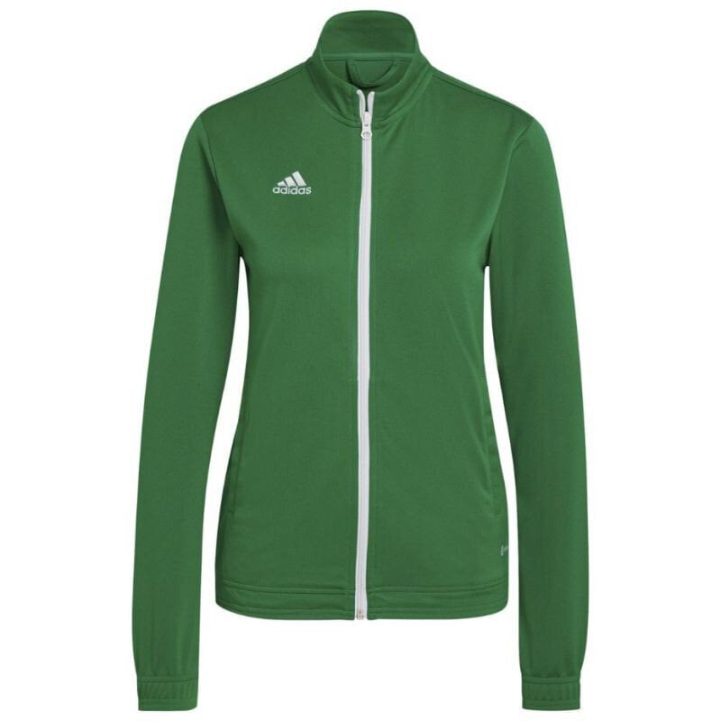 Moteriškas megztinis adidas Entrada 22 HI2136, žalias цена и информация | Sportinė apranga moterims | pigu.lt