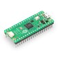 Atviro kodo elektronika Raspberry Pi Pico H - RP2040 ARM Cortex M0+ цена и информация | Atviro kodo elektronika | pigu.lt