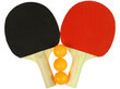Medinės stalo teniso raketės цена и информация | Stalo teniso raketės, dėklai ir rinkiniai | pigu.lt