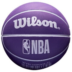 Wilson NBA Dribbler Los Angeles Lakers Mini krepšinio kamuoliukas kaina ir informacija | Krepšinio kamuoliai | pigu.lt