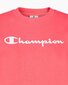 Džemperis moterims Champion, rožinis kaina ir informacija | Džemperiai moterims | pigu.lt