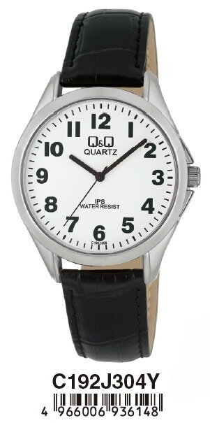 Laikrodis vyrams Q&Q C192J304 цена и информация | Vyriški laikrodžiai | pigu.lt