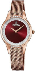 Festina Mademoiselle Swarovski 20496/1 kaina ir informacija | Moteriški laikrodžiai | pigu.lt