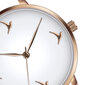 Moteriškas laikrodis Emily Westwood EDS-B051R.14 цена и информация | Moteriški laikrodžiai | pigu.lt