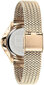 Moteriškas laikrodis Tommy Hilfiger Delphine 1782356 kaina ir informacija | Moteriški laikrodžiai | pigu.lt