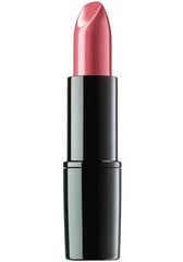 Klasikiniai drėkinamieji lūpų dažai Perfect Color Lipstick 4 g kaina ir informacija | Lūpų dažai, blizgiai, balzamai, vazelinai | pigu.lt
