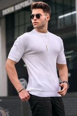 Marškinėliai vyrams Tamari цена и информация | Мужские футболки | pigu.lt
