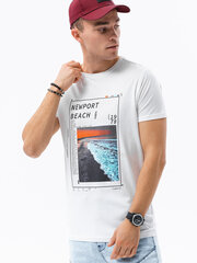 Мужская футболка S1434 цена и информация | Мужские футболки | pigu.lt