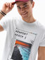 Vyriški marškinėliai S1434 kaina ir informacija | Vyriški marškinėliai | pigu.lt
