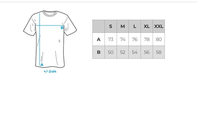 Vyriški marškinėliai S1434 kaina ir informacija | Vyriški marškinėliai | pigu.lt