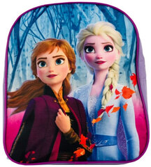 Рюкзак Disney Frozen Blue FR21-1706 цена и информация | Рюкзаки и сумки | pigu.lt