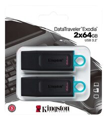 Kingston DataTraveler 64GB USB 3.2 цена и информация | USB накопители | pigu.lt