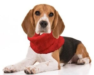 Теплый и красивый круглый шарф для собаки из мягкой полушерсти. цена и информация | Одежда для собак | pigu.lt