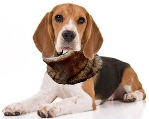 Теплый и красивый круглый шарф для собаки из мягкой полушерсти. цена и информация | Одежда для собак | pigu.lt