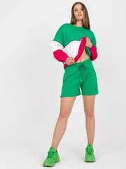 Женские зеленые шорты цена и информация | Женские шорты | pigu.lt