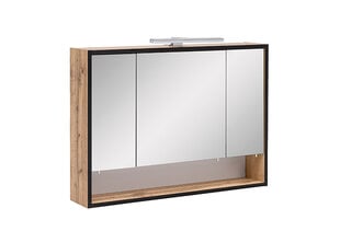 Зеркальный шкаф с LED-освещением Max, дуб цена и информация | Шкафчики для ванной | pigu.lt