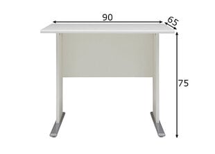 Rašomasis stalas Praha, balta kaina ir informacija | Kompiuteriniai, rašomieji stalai | pigu.lt