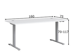 Электрически регулируемый рабочий стол Office, белый цена и информация | Компьютерные, письменные столы | pigu.lt