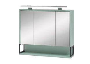 Зеркальный шкаф с LED-светильником Limone, мятно-зеленый  цена и информация | Шкафчики для ванной | pigu.lt