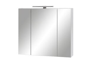 Зеркальный шкаф с LED-светильником Limone, белый цена и информация | Шкафчики для ванной | pigu.lt