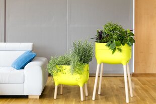 Gėlių vazonas, Home garden 50 x 38 x 25 cm, ryškiai žalias kaina ir informacija | Loveliai | pigu.lt