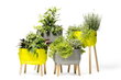 Gėlių vazonas, Home garden 50 x 38 x 25 cm, ryškiai žalias kaina ir informacija | Loveliai | pigu.lt
