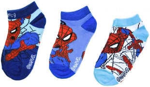 Детские носки Marvel Spider Man SP-A-SOCKS-126, синие цена и информация | Носки, колготки для мальчиков | pigu.lt