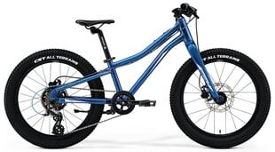 Детский велосипед Merida Matss J.20+, синий цвет цена и информация | Велосипеды | pigu.lt