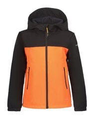 Icepeak striukė vaikams Konan JR 51897-2*455 kaina ir informacija | Striukės berniukams | pigu.lt