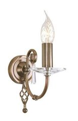 Настенный светильник Elstead Lighting Aegean AG1-AGED-BRASS цена и информация | Настенные светильники | pigu.lt