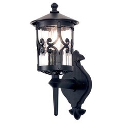 Уличный настенный светильник Elstead Lighting Hereford BL10-BLACK цена и информация | Уличные светильники | pigu.lt