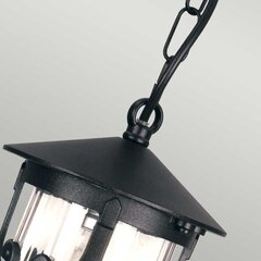 Pakabinamas lauko šviestuvas Elstead Lighting Hereford BL13B-BLACK kaina ir informacija | Lauko šviestuvai | pigu.lt