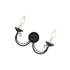 Настенный светильник Elstead Lighting Chartwell CH2-BLACK цена и информация | Настенные светильники | pigu.lt