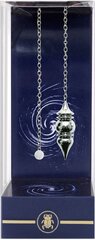 Švytuoklė Deluxe Silver Wisdom Chamber Pendulum kaina ir informacija | Ezoterika | pigu.lt