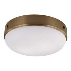 Потолочный светильник Elstead Lighting Cadence FE-CADENCE-F-DAB цена и информация | Потолочные светильники | pigu.lt