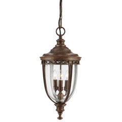 Подвесной уличный светильник Elstead Lighting English bridle FE-EB8-L-BRB цена и информация | Уличные светильники | pigu.lt