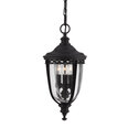 Pakabinamas lauko šviestuvas Elstead Lighting English bridle FE-EB8-M-BLK