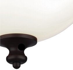 Потолочный светильник Elstead Lighting Parkman FE-PARKMAN-F-OB цена и информация | Потолочные светильники | pigu.lt