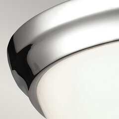 Потолочный светильник Elstead Lighting Parkman FE-PARKMAN-F-PN цена и информация | Потолочные светильники | pigu.lt