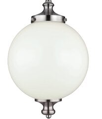 Подвесной светильник Elstead Lighting Parkman FE-PARKMAN-PL-BS цена и информация | Люстры | pigu.lt