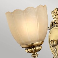 Настенный светильник Elstead Lighting Isabella HK-ISABELLA1-BATH цена и информация | Настенные светильники | pigu.lt